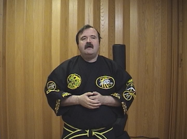 Thumbnail image for Rebelo's Kenpo Karate: Thunder Fist