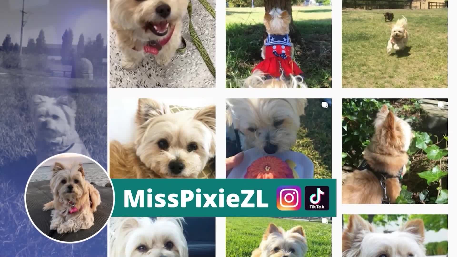 Thumbnail image for Sidewalks Entertainment - Alan Kim and Brice Gonzalez