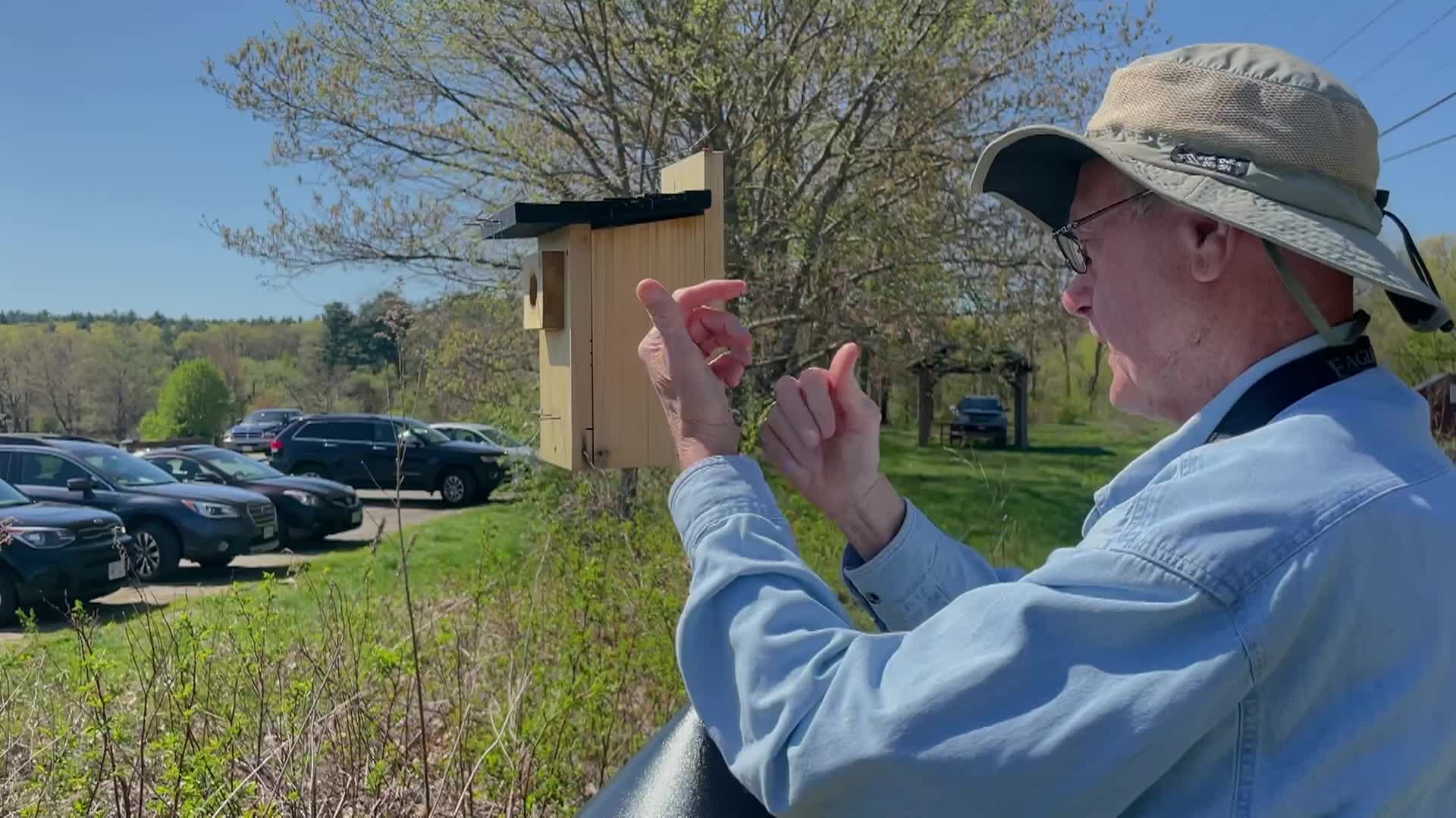 Bluebird Restoration Project - Vietnam Veteran's Park Group Nest Check Episode 6