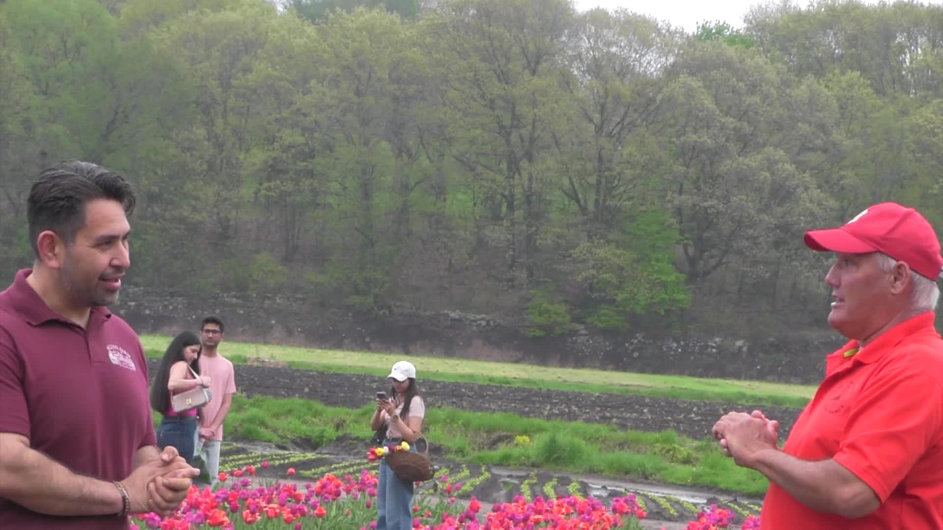 Around the Garden with Jimmy K - Wilson Farm Tulips