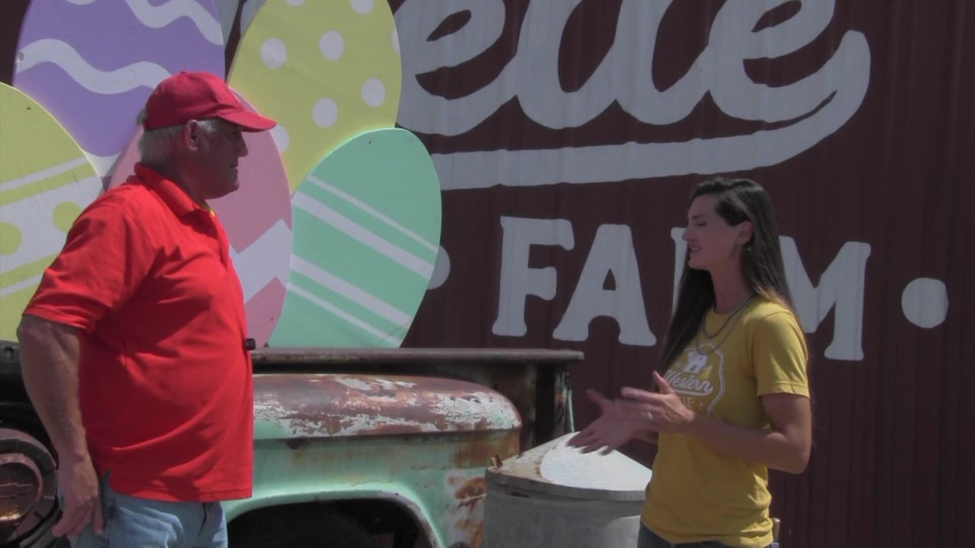 Thumbnail image for Around the Garden with Jimmy K - Texas Western Belle