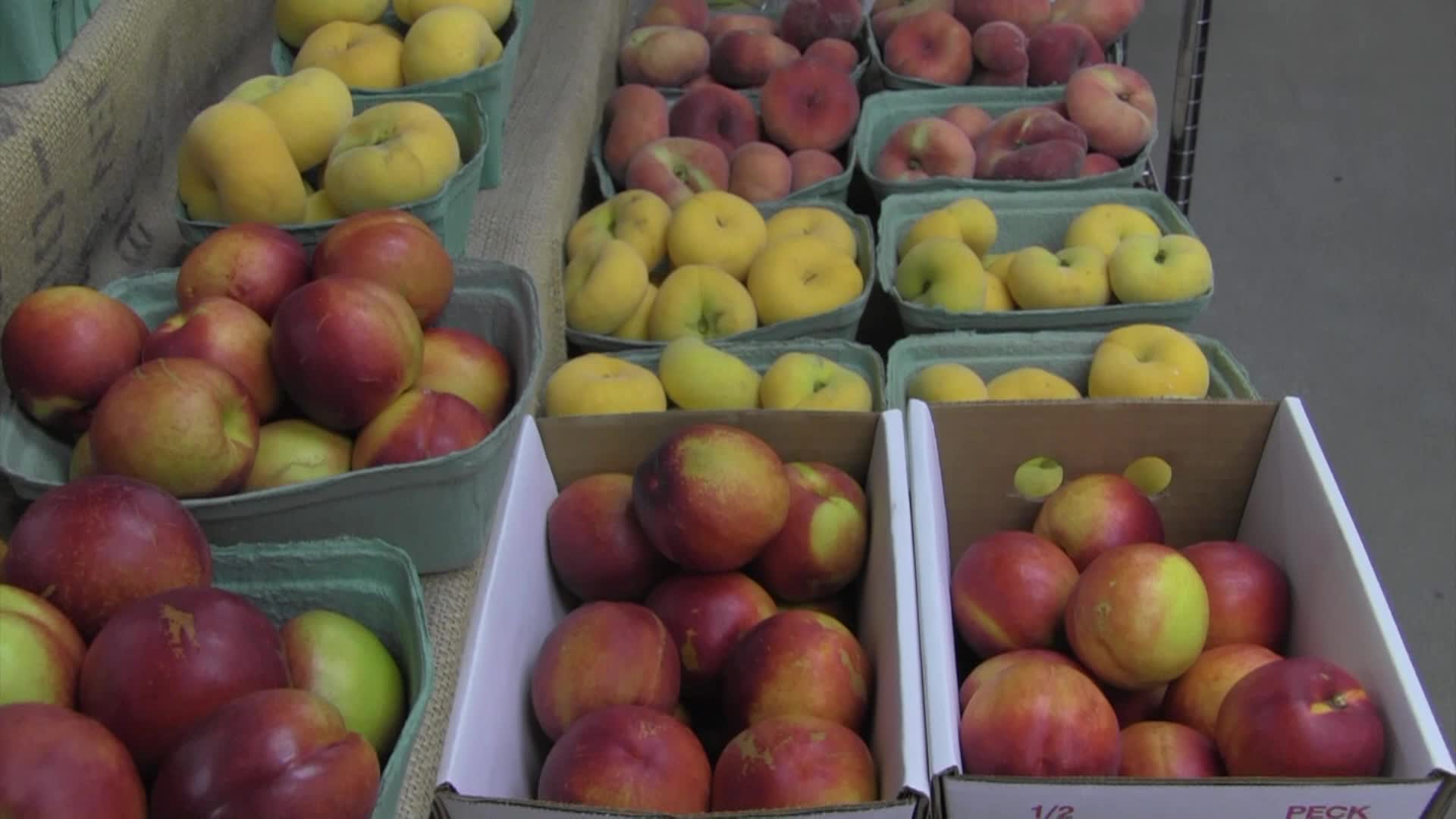 Thumbnail image for Around the Garden with Jimmy K - Bulton Orchards