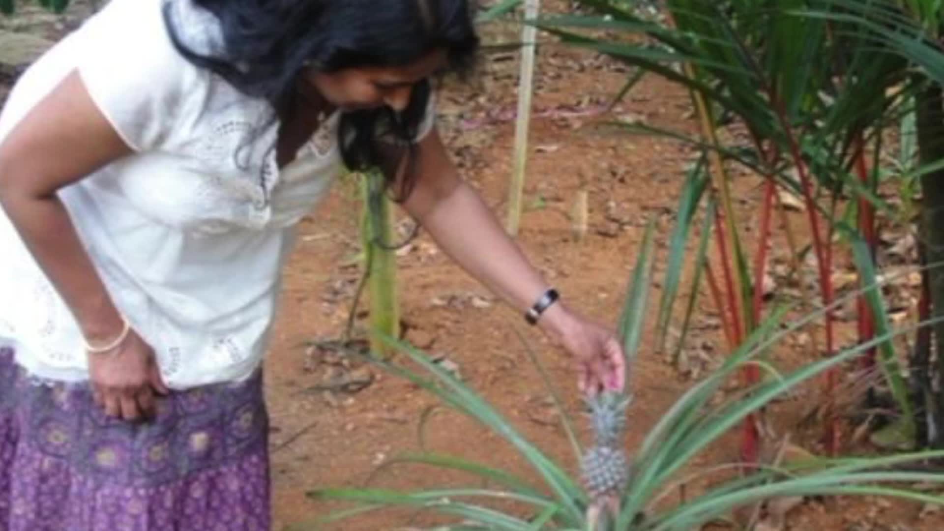 Limitless - May Fridel