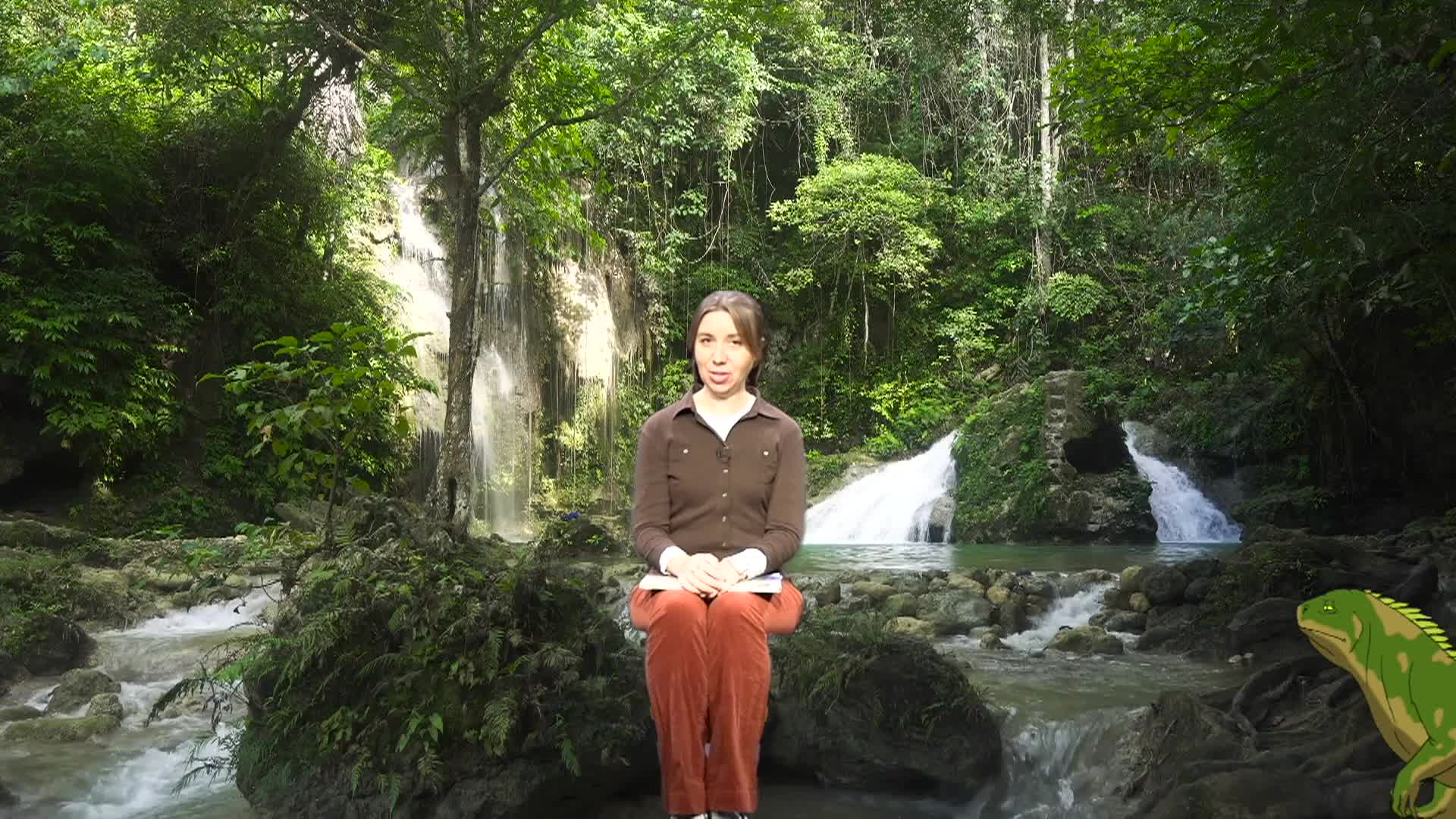 Thumbnail image for Cosette's Enchanted Journey's Episode 73 - The Iguana Brothers