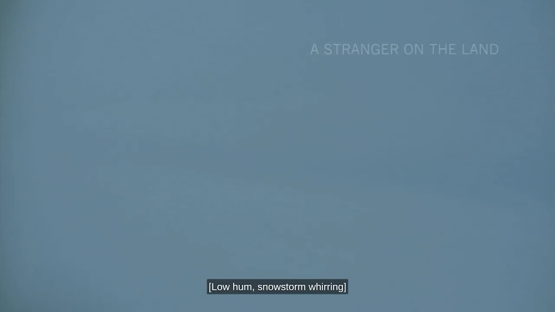 Strata - January 2026