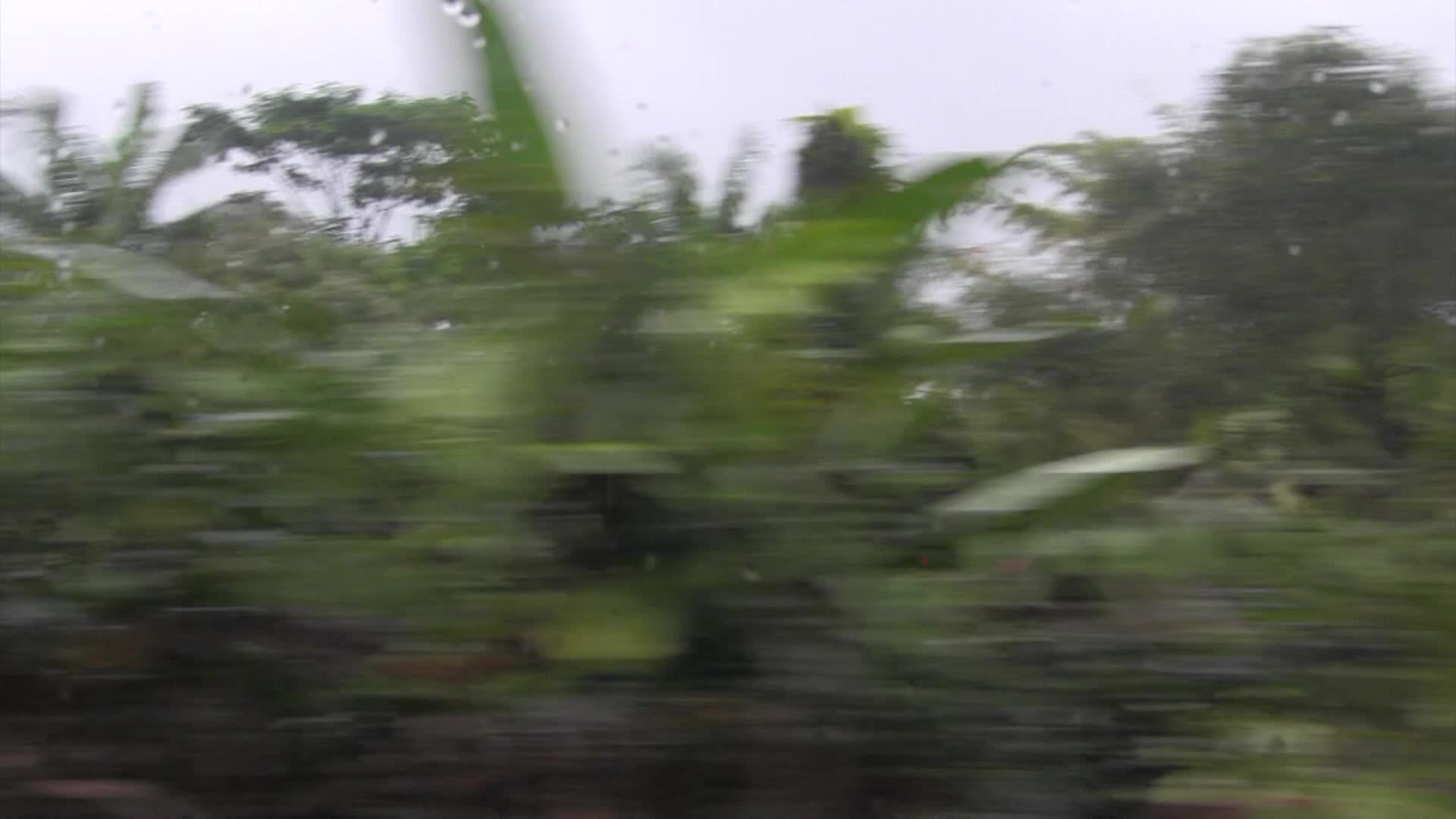 Thumbnail image for Around the Garden with Jimmy K - Hilo, Hawaii