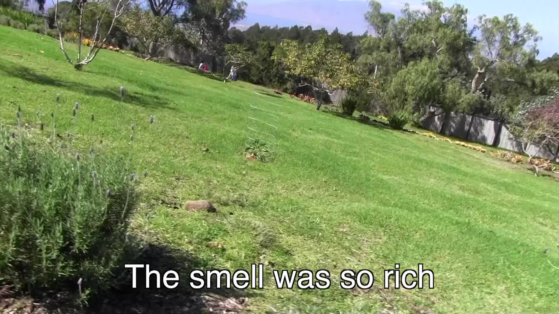 Thumbnail image for Around the Garden with Jimmy K - Lavender Gardens