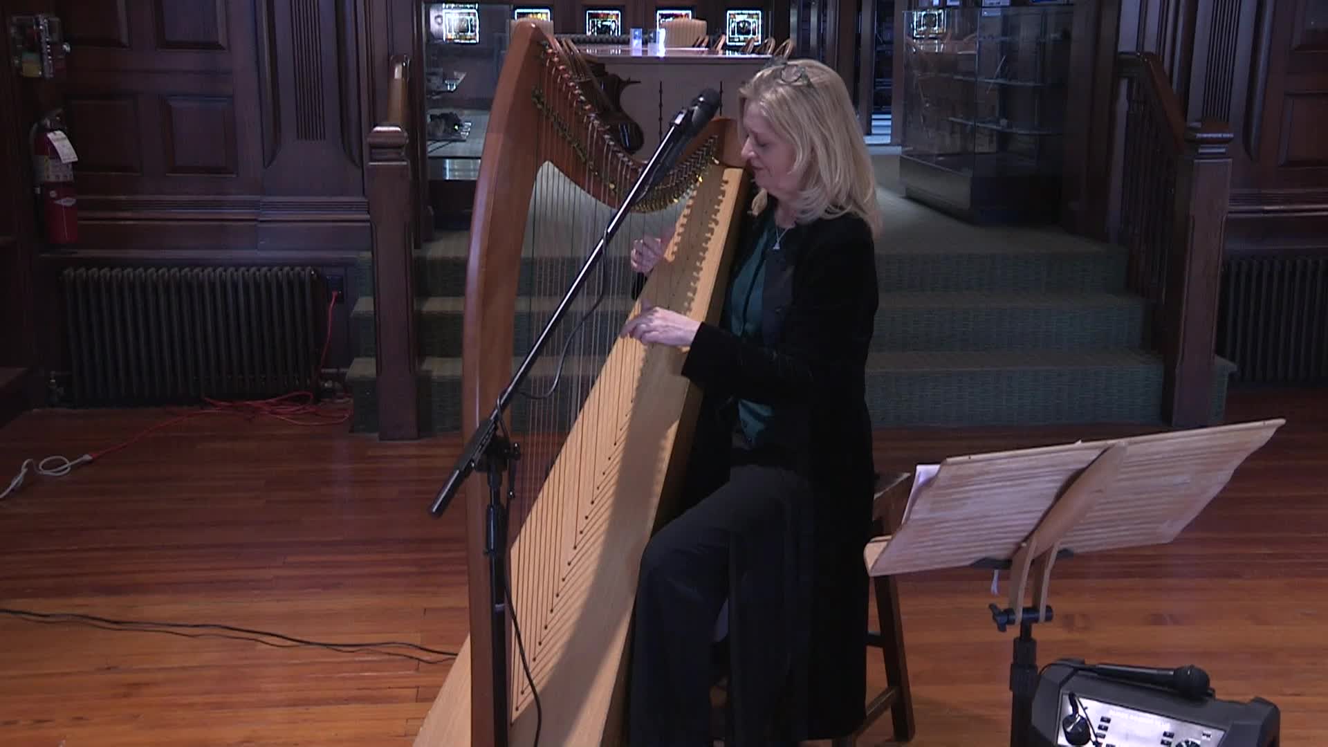 Thumbnail image for Concerts at the Crane - Aine Minogue, Encore