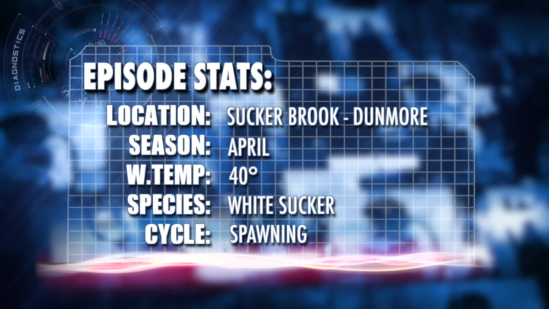 Thumbnail image for VT Master Anglers - Catching White Suckers