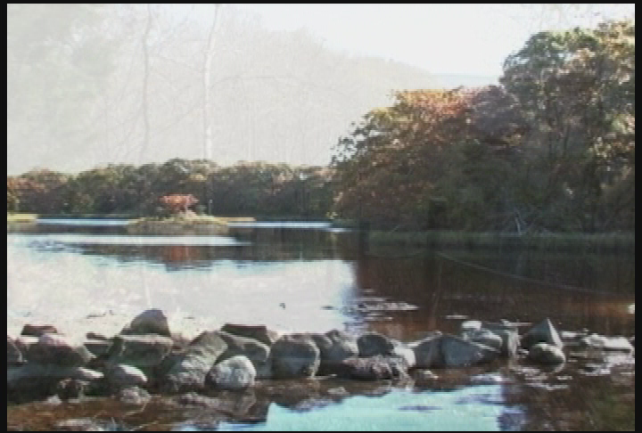 Thumbnail image for Dartmouth Wanderers: Shoreline Tour of Dartmouth