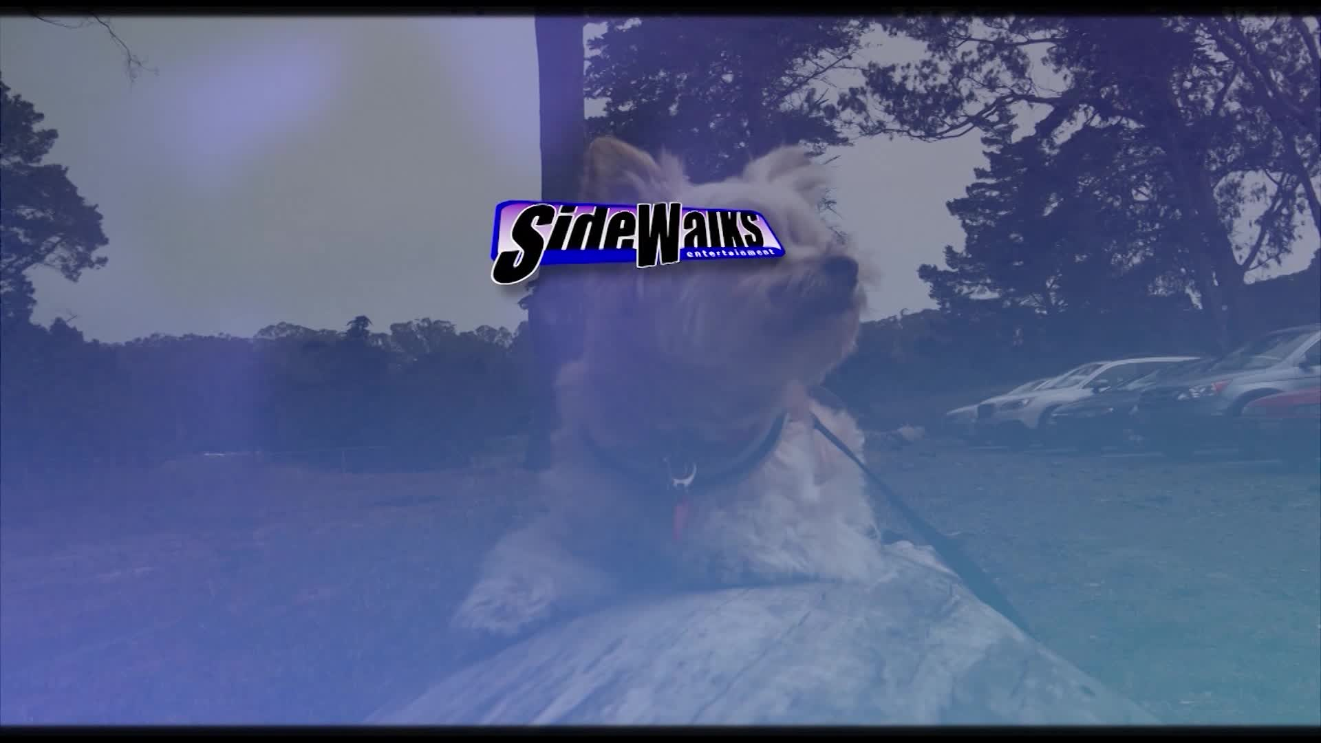 Thumbnail image for Sidewalks Entertainment - Robert Picardo (A Look Back)