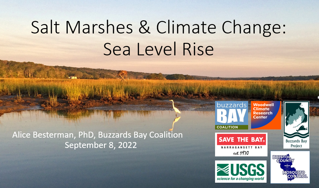 Thumbnail image for Dartmouth Cultural Center Speaker Alice Besterman September 8, 2022